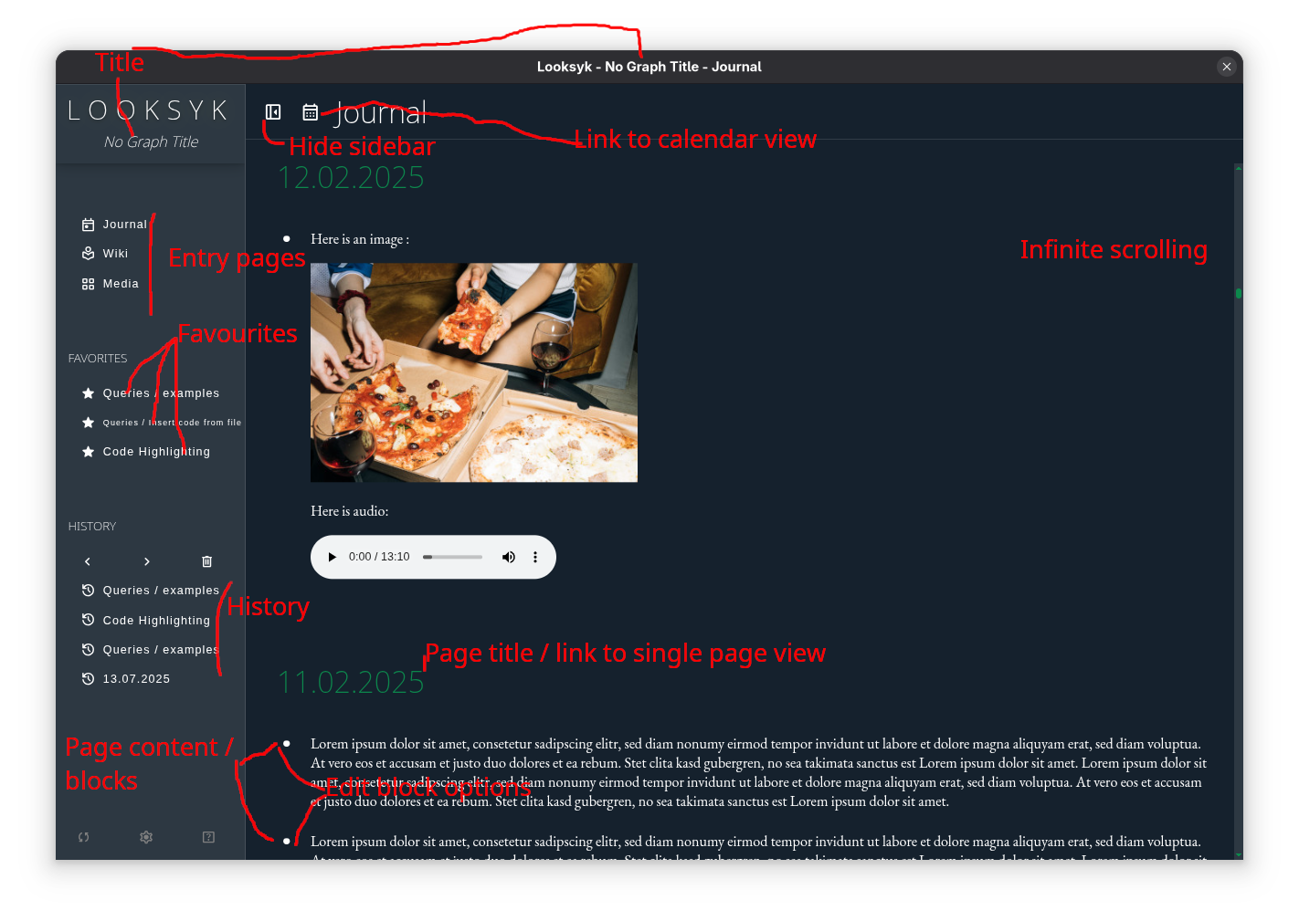 The Looksyk startup page explained